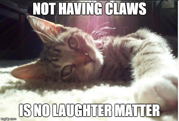 Clawless Kitty | NOT HAVING CLAWS; IS NO LAUGHTER MATTER | image tagged in clawless kitty | made w/ Imgflip meme maker