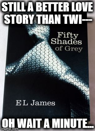 FSOG | STILL A BETTER LOVE STORY THAN TWI---; OH WAIT A MINUTE... | image tagged in fsog | made w/ Imgflip meme maker