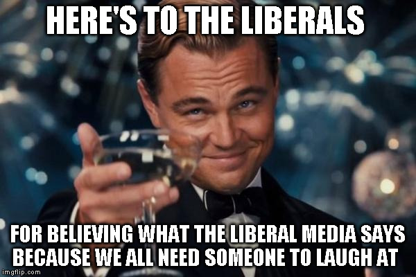 Leonardo Dicaprio Cheers Meme | HERE'S TO THE LIBERALS; FOR BELIEVING WHAT THE LIBERAL MEDIA SAYS BECAUSE WE ALL NEED SOMEONE TO LAUGH AT | image tagged in memes,leonardo dicaprio cheers | made w/ Imgflip meme maker