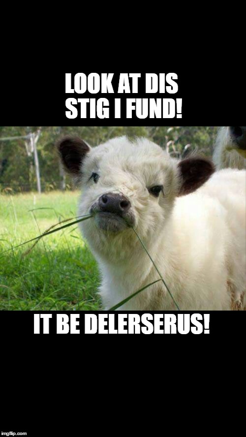 LOOK AT DIS STIG I FUND! IT BE DELERSERUS! | image tagged in funny,funny animals | made w/ Imgflip meme maker