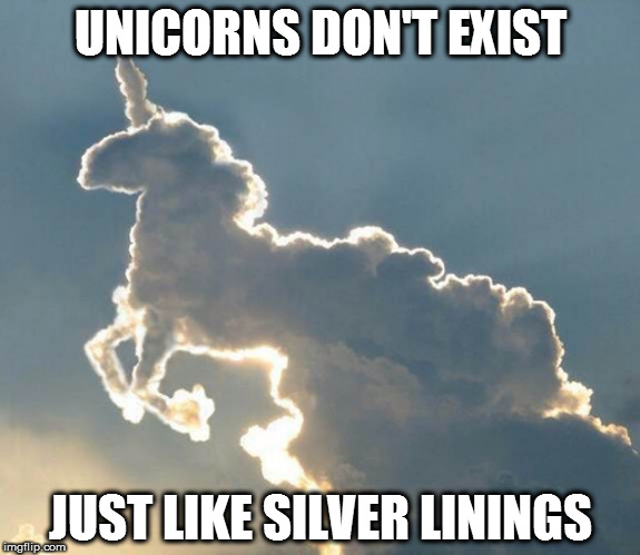 Unicorn cloud | UNICORNS DON'T EXIST; JUST LIKE SILVER LININGS | image tagged in unicorn cloud | made w/ Imgflip meme maker