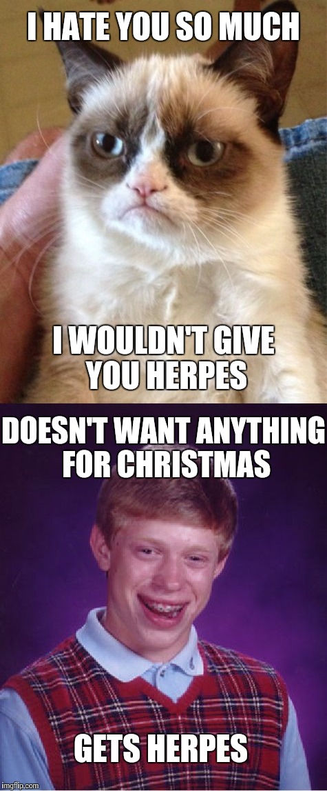 Merry Christmas! | I HATE YOU SO MUCH; I WOULDN'T GIVE YOU HERPES; DOESN'T WANT ANYTHING FOR CHRISTMAS; GETS HERPES | image tagged in memes,bad luck brian,grumpy cat,christmas | made w/ Imgflip meme maker
