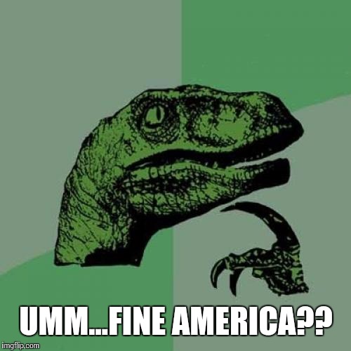Philosoraptor Meme | UMM...FINE AMERICA?? | image tagged in memes,philosoraptor | made w/ Imgflip meme maker