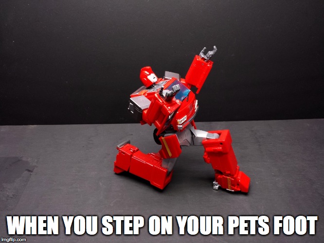 Transformers Ironhide Kneel | WHEN YOU STEP ON YOUR PETS FOOT | image tagged in transformers ironhide kneel | made w/ Imgflip meme maker