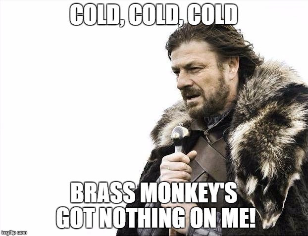 Brace Yourselves X is Coming Meme | COLD, COLD, COLD; BRASS MONKEY'S GOT NOTHING ON ME! | image tagged in memes,brace yourselves x is coming | made w/ Imgflip meme maker