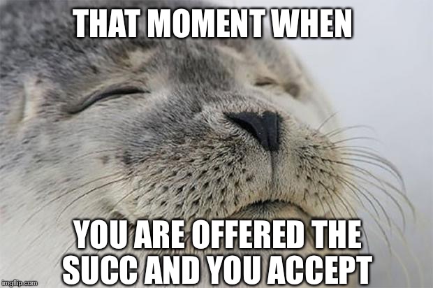 Satisfied Seal | THAT MOMENT WHEN; YOU ARE OFFERED THE SUCC AND YOU ACCEPT | image tagged in memes,satisfied seal | made w/ Imgflip meme maker