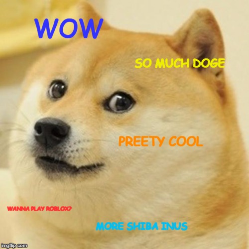 Doge | WOW; SO MUCH DOGE; PREETY COOL; WANNA PLAY ROBLOX? MORE SHIBA INUS | image tagged in memes,doge | made w/ Imgflip meme maker