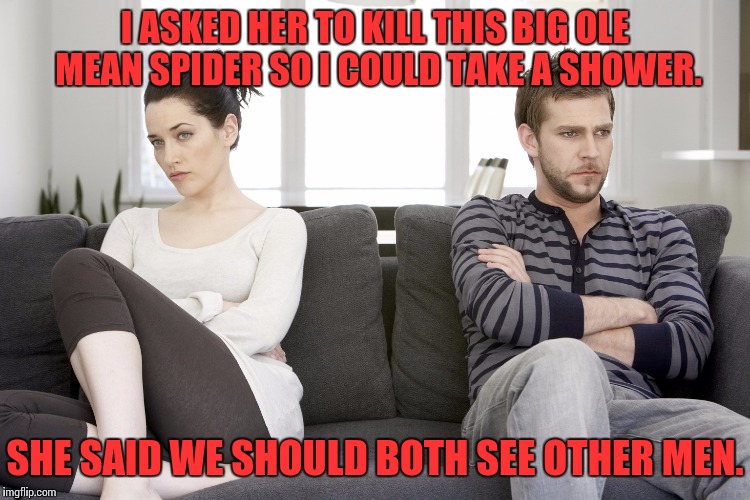 couple arguing | I ASKED HER TO KILL THIS BIG OLE MEAN SPIDER SO I COULD TAKE A SHOWER. SHE SAID WE SHOULD BOTH SEE OTHER MEN. | image tagged in couple arguing | made w/ Imgflip meme maker