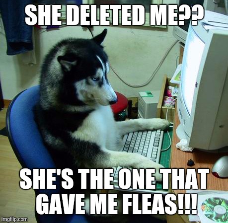 I Have No Idea What I Am Doing | SHE DELETED ME?? SHE'S THE ONE THAT GAVE ME FLEAS!!! | image tagged in memes,i have no idea what i am doing | made w/ Imgflip meme maker