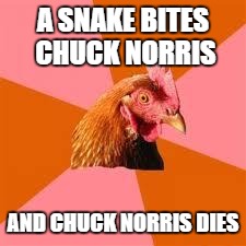 That's How it Works | A SNAKE BITES CHUCK NORRIS; AND CHUCK NORRIS DIES | image tagged in anti-joke chicken,chuck norris,surprise | made w/ Imgflip meme maker