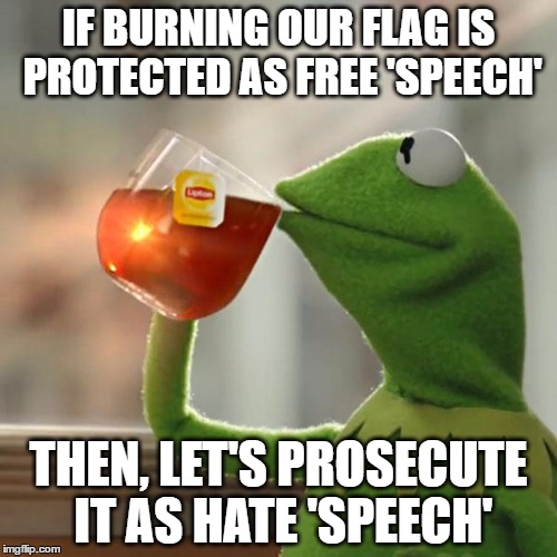 But That's None Of My Business | IF BURNING OUR FLAG IS PROTECTED AS FREE 'SPEECH'; THEN, LET'S PROSECUTE IT AS HATE 'SPEECH' | image tagged in memes,but thats none of my business,kermit the frog | made w/ Imgflip meme maker