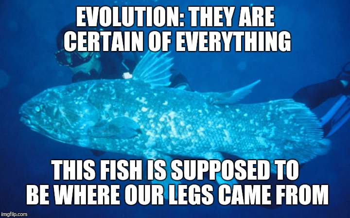 EVOLUTION: THEY ARE CERTAIN OF EVERYTHING; THIS FISH IS SUPPOSED TO BE WHERE OUR LEGS CAME FROM | image tagged in evolution | made w/ Imgflip meme maker