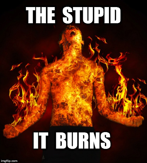 Man on fire | THE  STUPID; IT  BURNS | image tagged in man on fire | made w/ Imgflip meme maker