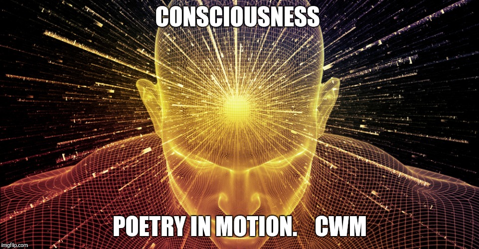 CONSCIOUSNESS; POETRY IN MOTION.    CWM | made w/ Imgflip meme maker
