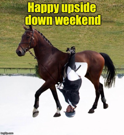 Horse upside down | Happy upside down weekend | image tagged in horse upside down | made w/ Imgflip meme maker
