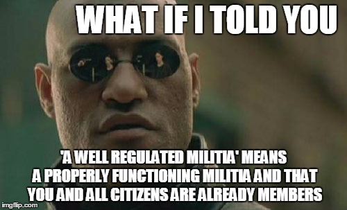 well regulated militia | WHAT IF I TOLD YOU; 'A WELL REGULATED MILITIA' MEANS A PROPERLY FUNCTIONING MILITIA AND THAT YOU AND ALL CITIZENS ARE ALREADY MEMBERS | image tagged in memes,matrix morpheus,militia,guns,2nd amendment,gun rights | made w/ Imgflip meme maker