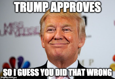 Donald trump approves | TRUMP APPROVES; SO I GUESS YOU DID THAT WRONG | image tagged in donald trump approves,wrong way,oops,trump,donald trump | made w/ Imgflip meme maker
