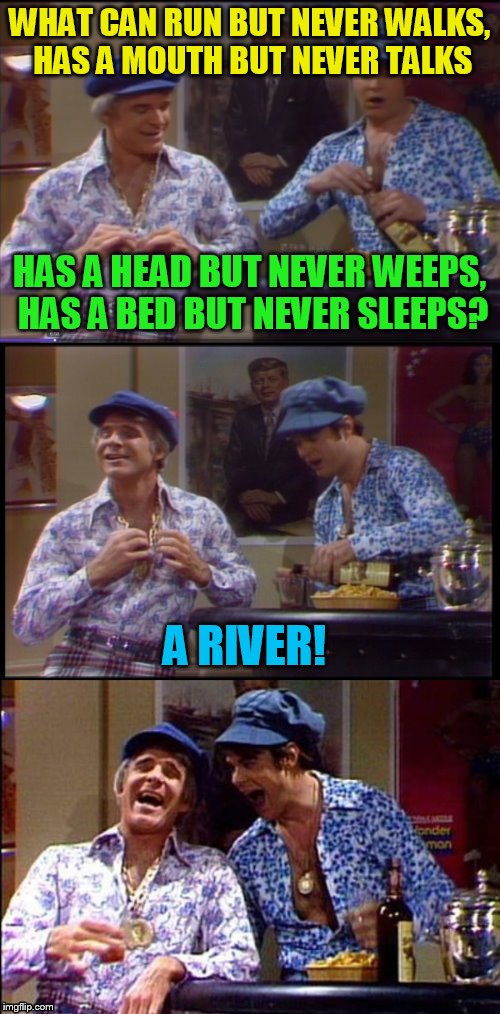 Two Wild And Crazy Guys! | WHAT CAN RUN BUT NEVER WALKS, HAS A MOUTH BUT NEVER TALKS HAS A HEAD BUT NEVER WEEPS, HAS A BED BUT NEVER SLEEPS? A RIVER! | image tagged in two wild and crazy guys | made w/ Imgflip meme maker