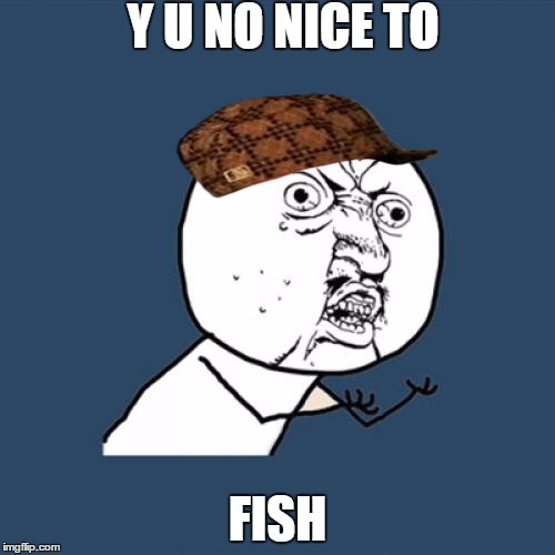 bp | Y U NO NICE TO; FISH | image tagged in memes,y u no,scumbag | made w/ Imgflip meme maker
