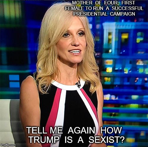 Kellyanne Conway | MOTHER  OF  FOUR,  FIRST FEMALE TO RUN  A  SUCCESSFUL PRESIDENTIAL  CAMPAIGN; TELL ME  AGAIN  HOW  TRUMP  IS  A  SEXIST? | image tagged in kellyanne conway | made w/ Imgflip meme maker