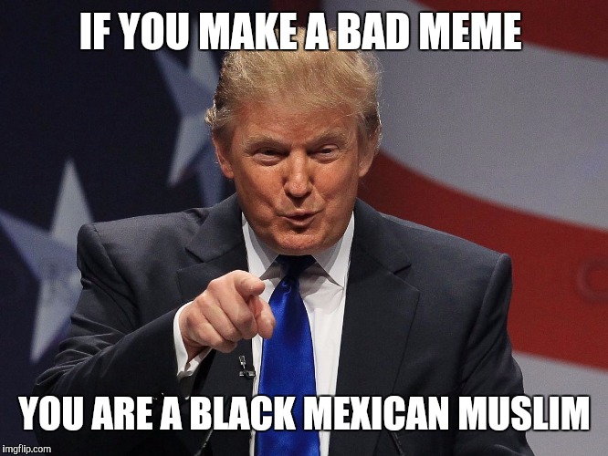 Donald trump | IF YOU MAKE A BAD MEME; YOU ARE A BLACK MEXICAN MUSLIM | image tagged in donald trump | made w/ Imgflip meme maker