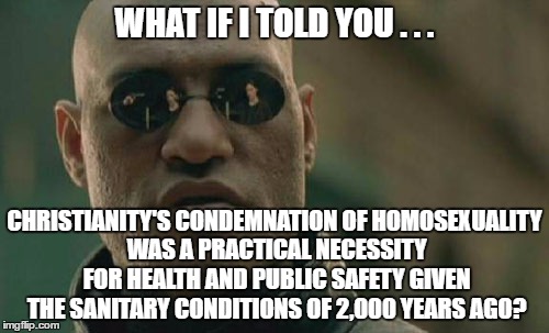 The Times Are A Changin | WHAT IF I TOLD YOU . . . CHRISTIANITY'S CONDEMNATION OF HOMOSEXUALITY WAS A PRACTICAL NECESSITY FOR HEALTH AND PUBLIC SAFETY GIVEN THE SANITARY CONDITIONS OF 2,000 YEARS AGO? | image tagged in memes,matrix morpheus,homosexuality,health | made w/ Imgflip meme maker