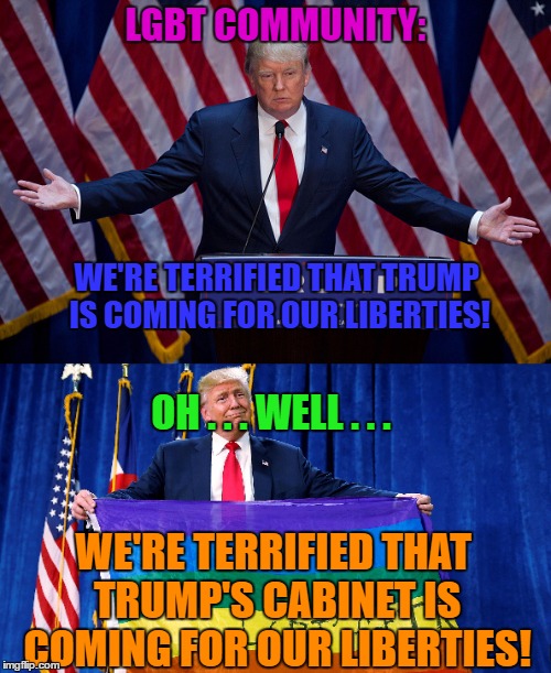 There Is Rarely Logic In Fear | LGBT COMMUNITY:; WE'RE TERRIFIED THAT TRUMP IS COMING FOR OUR LIBERTIES! OH . . . WELL . . . WE'RE TERRIFIED THAT TRUMP'S CABINET IS COMING FOR OUR LIBERTIES! | image tagged in trump,cabinet,lgbt | made w/ Imgflip meme maker