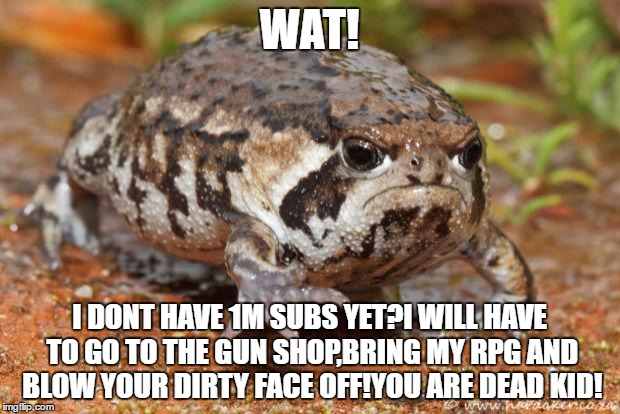 Grumpy Toad | WAT! I DONT HAVE 1M SUBS YET?I WILL HAVE TO GO TO THE GUN SHOP,BRING MY RPG AND BLOW YOUR DIRTY FACE OFF!YOU ARE DEAD KID! | image tagged in memes,grumpy toad | made w/ Imgflip meme maker