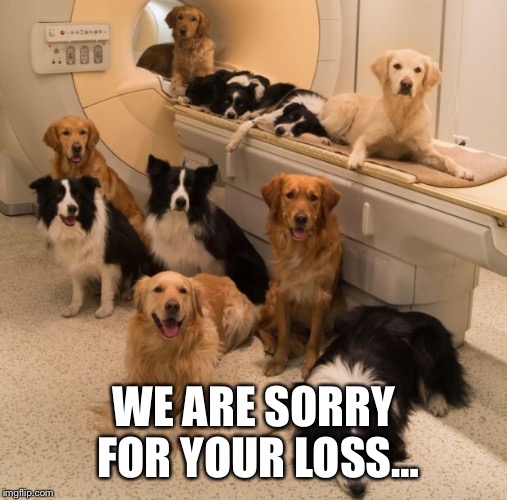 WE ARE SORRY FOR YOUR LOSS… | made w/ Imgflip meme maker
