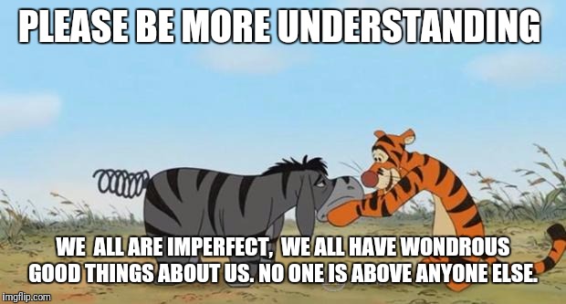 Shenani Stone TIgger Eeyore | PLEASE BE MORE UNDERSTANDING; WE  ALL ARE IMPERFECT,  WE ALL HAVE WONDROUS GOOD THINGS ABOUT US.
NO ONE IS ABOVE ANYONE ELSE. | image tagged in shenani stone tigger eeyore | made w/ Imgflip meme maker