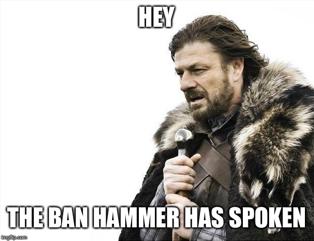 Brace Yourselves X is Coming Meme | HEY; THE BAN HAMMER HAS SPOKEN | image tagged in memes,brace yourselves x is coming | made w/ Imgflip meme maker