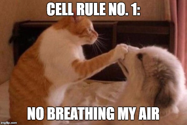 CELL RULE NO. 1: NO BREATHING MY AIR | made w/ Imgflip meme maker