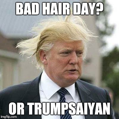 Donald Trump | BAD HAIR DAY? OR TRUMPSAIYAN | image tagged in donald trump | made w/ Imgflip meme maker