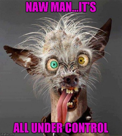 NAW MAN...IT'S ALL UNDER CONTROL | made w/ Imgflip meme maker