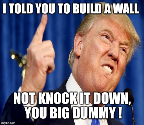 I TOLD YOU TO BUILD A WALL NOT KNOCK IT DOWN, YOU BIG DUMMY ! | made w/ Imgflip meme maker