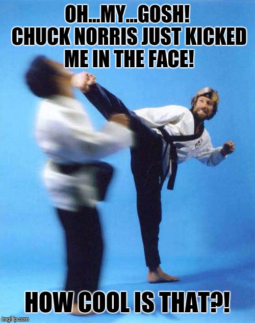 Roundhouse Kick Chuck Norris | OH...MY...GOSH! CHUCK NORRIS JUST KICKED ME IN THE FACE! HOW COOL IS THAT?! | image tagged in roundhouse kick chuck norris | made w/ Imgflip meme maker
