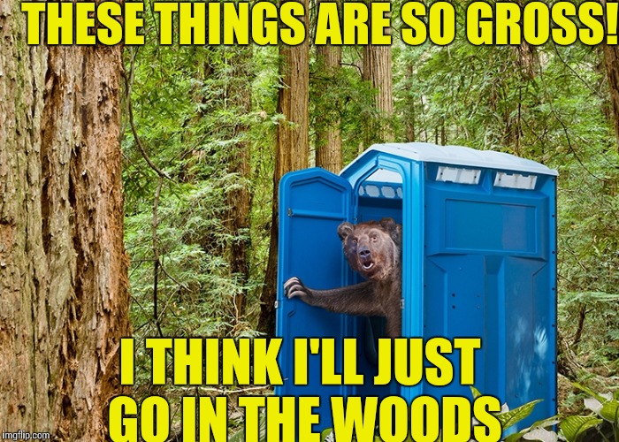 Outhouse Bear | THESE THINGS ARE SO GROSS! I THINK I'LL JUST GO IN THE WOODS | image tagged in outhouse bear | made w/ Imgflip meme maker