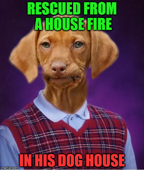 Bad Luck Raydog | RESCUED FROM A HOUSE FIRE; IN HIS DOG HOUSE | image tagged in bad luck raydog | made w/ Imgflip meme maker