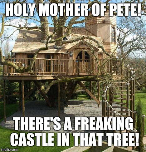 Treehouse mansion  | HOLY MOTHER OF PETE! THERE'S A FREAKING CASTLE IN THAT TREE! | image tagged in treehouse mansion | made w/ Imgflip meme maker