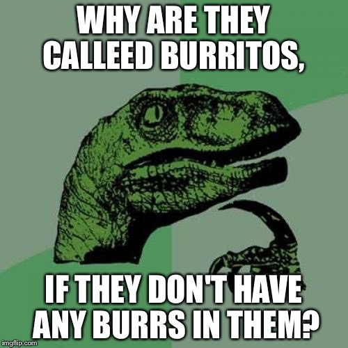 Philosoraptor Meme | WHY ARE THEY CALLEED BURRITOS, IF THEY DON'T HAVE ANY BURRS IN THEM? | image tagged in memes,philosoraptor | made w/ Imgflip meme maker