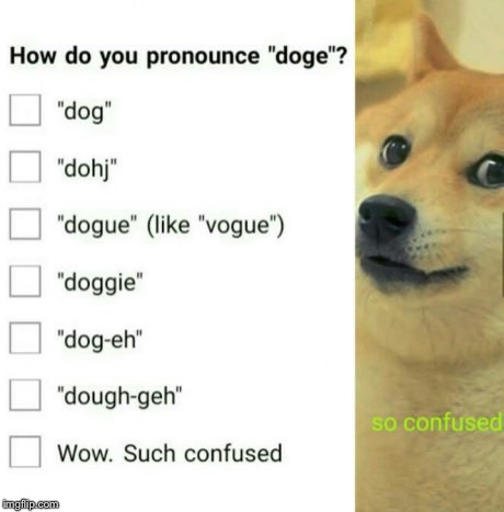 Imgflip very answer much thanks  | image tagged in memes,doge | made w/ Imgflip meme maker