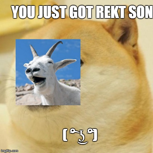 Doge Meme | YOU JUST GOT REKT SON; ( ͡° ͜ʖ ͡°) | image tagged in memes,doge | made w/ Imgflip meme maker