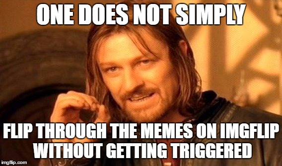 One Does Not Simply | ONE DOES NOT SIMPLY; FLIP THROUGH THE MEMES ON IMGFLIP WITHOUT GETTING TRIGGERED | image tagged in memes,one does not simply | made w/ Imgflip meme maker