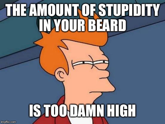 Futurama Fry Meme | THE AMOUNT OF STUPIDITY IN YOUR BEARD IS TOO DAMN HIGH | image tagged in memes,futurama fry | made w/ Imgflip meme maker