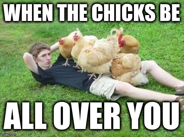 WHEN YOU'RE SEXY AND YOU KNOW IT.... | WHEN THE CHICKS BE; ALL OVER YOU | image tagged in memes,funny memes,meme,animals,funny | made w/ Imgflip meme maker