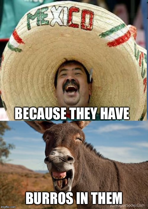 BECAUSE THEY HAVE BURROS IN THEM | made w/ Imgflip meme maker