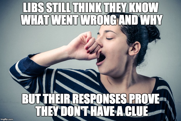 Yawn | LIBS STILL THINK THEY KNOW WHAT WENT WRONG AND WHY BUT THEIR RESPONSES PROVE THEY DON'T HAVE A CLUE | image tagged in yawn | made w/ Imgflip meme maker