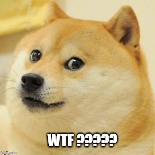 Doge | WTF ????? | image tagged in memes,doge | made w/ Imgflip meme maker