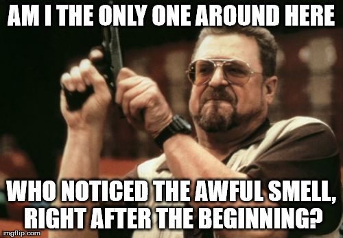 Am I The Only One Around Here Meme | AM I THE ONLY ONE AROUND HERE WHO NOTICED THE AWFUL SMELL, RIGHT AFTER THE BEGINNING? | image tagged in memes,am i the only one around here | made w/ Imgflip meme maker