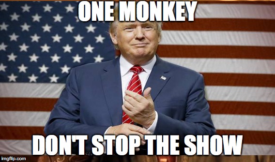 ONE MONKEY; DON'T STOP THE SHOW | image tagged in donald trump | made w/ Imgflip meme maker